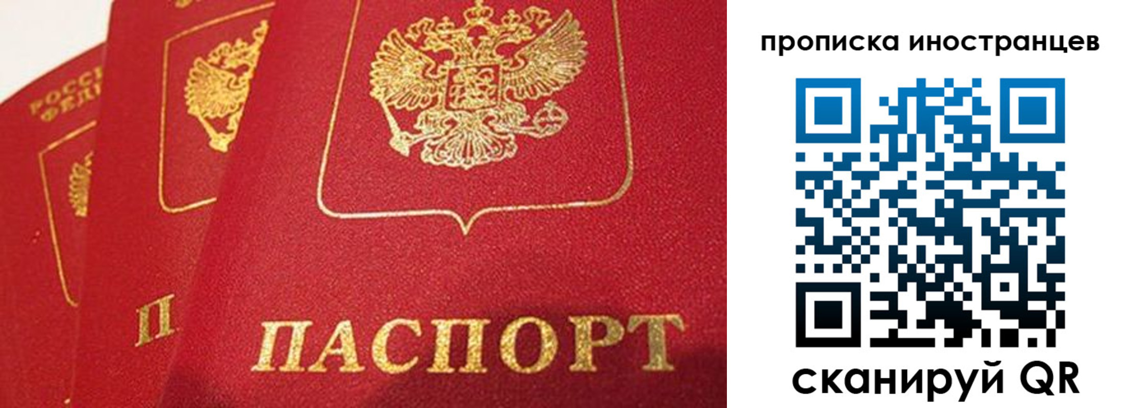 прописка поиск в Электрогорске